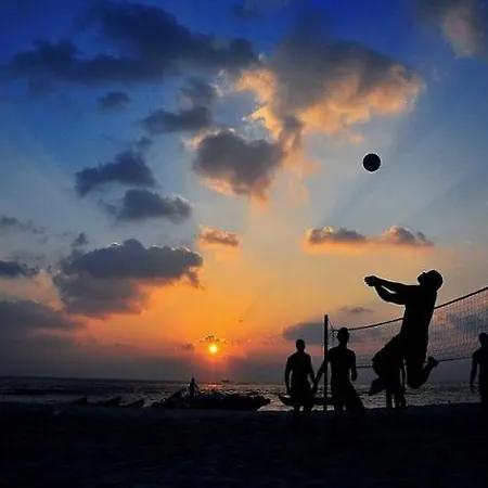 Homes With Pool, Mielenko