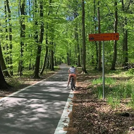 Homes With Pool, Prázdninový dům *