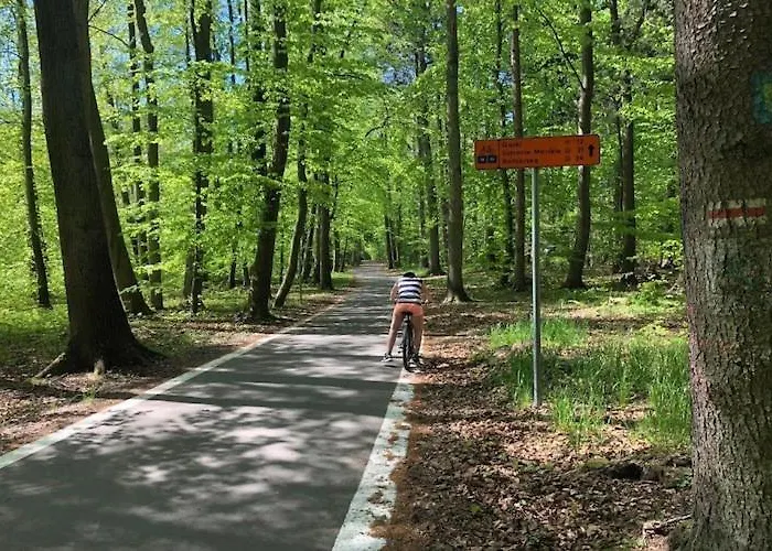 Homes With Pool, Nyaraló *